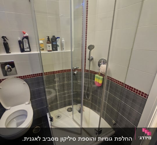 מקלחון זכוכית עם מוצרי ניקוי ושירותים
